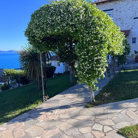 Kyriakos נאה רודה